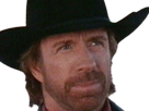 carlos-ray-chuck-norris-acteur-americain-homme-art-martiaux-walker-texas-ranger-delta-force-leplusfort