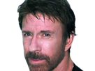 carlos-ray-chuck-norris-acteur-americain-homme-art-martiaux-walker-texas-ranger-delta-force-leplusfort