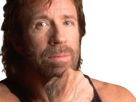 carlos-ray-chuck-norris-acteur-americain-homme-art-martiaux-walker-texas-ranger-delta-force-leplusfort