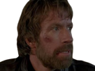 carlos-ray-chuck-norris-acteur-americain-homme-art-martiaux-walker-texas-ranger-delta-force-leplusfort