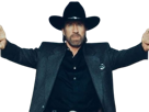 carlos-ray-chuck-norris-acteur-americain-homme-art-martiaux-walker-texas-ranger-delta-force-leplusfort