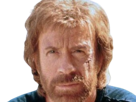 carlos-ray-chuck-norris-acteur-americain-homme-art-martiaux-walker-texas-ranger-delta-force-leplusfort