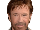 carlos-ray-chuck-norris-acteur-americain-homme-art-martiaux-walker-texas-ranger-delta-force-leplusfort