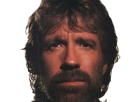 carlos-ray-chuck-norris-acteur-americain-homme-arts-martiaux-walker-texas-ranger-delta-force-leplusfort