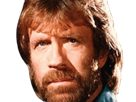 carlos-ray-chuck-norris-acteur-americain-homme-arts-martiaux-walker-texas-ranger-delta-force-leplusfort