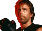 carlos-ray-chuck-norris-acteur-americain-homme-arts-martiaux-walker-texas-ranger-delta-force-leplusfort