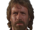 carlos-ray-chuck-norris-acteur-americain-homme-arts-martiaux-walker-texas-ranger-delta-force-leplusfort