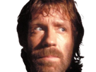 carlos-ray-chuck-norris-acteur-americain-homme-arts-martiaux-walker-texas-ranger-delta-force-leplusfort