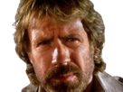 carlos-ray-chuck-norris-acteur-americain-homme-arts-martiaux-walker-texas-ranger-delta-force-leplusfort