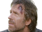 carlos-ray-chuck-norris-acteur-americain-homme-arts-martiaux-walker-texas-ranger-delta-force-leplusfort