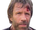 carlos-ray-chuck-norris-acteur-americain-homme-arts-martiaux-walker-texas-ranger-delta-force-leplusfort