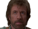 carlos-ray-chuck-norris-acteur-americain-homme-arts-martiaux-walker-texas-ranger-delta-force-leplusfort