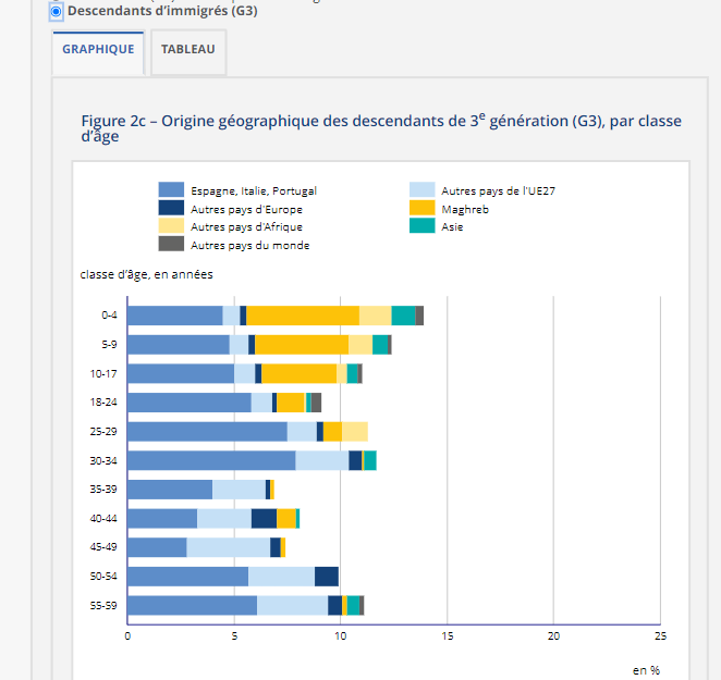 immigration naissance remplacement maghrebins europeens