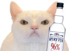 chat-maxwell-uni-blanc-enerve-pas-content-regard-deter-vodka-alcool-poliakov-spirytus-96