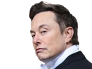 elon-musk-dedain-mepris-serieux-regard-perplexe-jugement-king-roi