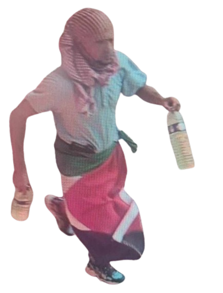 qlf lfi palestine bouteille algerien incendie terroriste