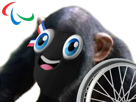 phryge-jeux-paralympique-paris-handisport-singe-mascotte-fauteuil-roulant