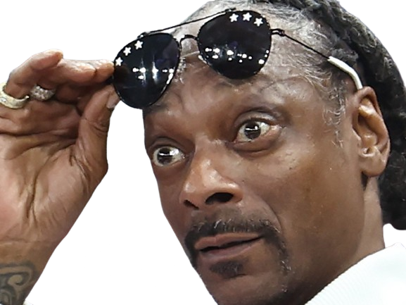 snoop doggy dog moupe djibril rappeur americain us fume drogue