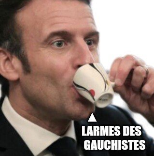 emmanuel macron elections boire boit larmes gauchistes tasse