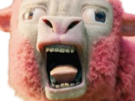 minecraft-film-movie-live-action-cgi-mouton-sheep-rose-horreur-aya-ahi