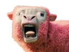 minecraft-film-movie-live-action-cgi-mouton-sheep-rose-horreur-aya-ahi