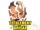 brise-totalement-brisax-brisado-lekhey-brisure-stopcensure-giuseppe-golem-risitas-selection-naturelle