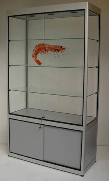 belge belgique champion du monde pellage de crevette frite fritix