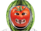 thomas-pesquier-tomate-pasteque