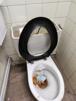 toilettes-clermont-ferrand-caca-dechet-scato