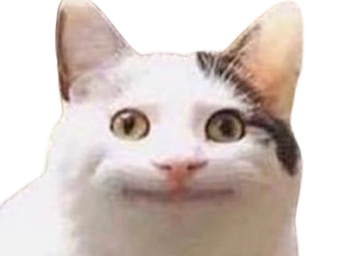 chat sourire blanc chatblanc