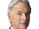 gibbs-gibs-ncis-agent-special-moupe