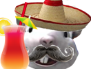 mexicain-sombrero-mouse-marlou