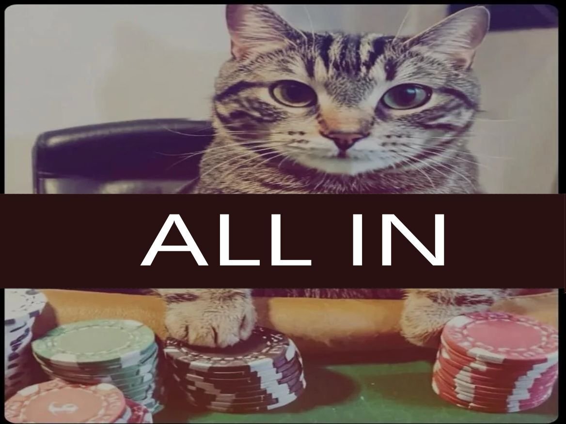 chat poker allin all in gacha