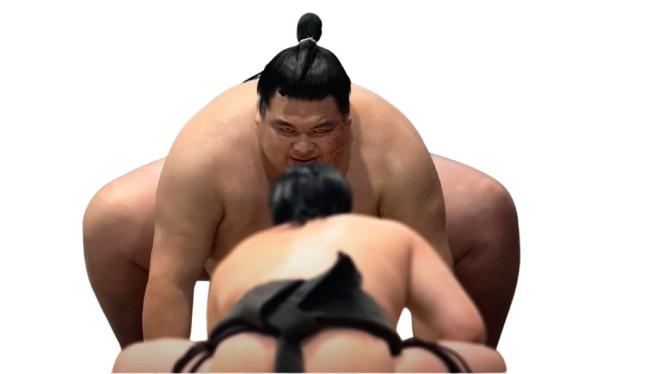 sumo sanctuary
