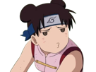 tenten-naruto-shippuden-boude