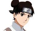 tenten-naruto-shippuden-serieuse