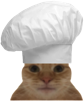 chat-cook-cuissot-chef-kebab-cuisinier