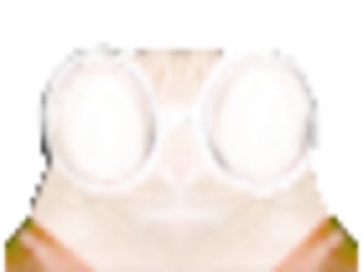 chat lunettes zoomyeux blanc brillant lumiere