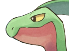 auteur-fic-massko-pokemon-pkm-donjon-mystere-grovyle-masskodeter-3g-starter-evolution-plante-hoenn