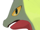 auteur-fic-massko-pokemon-pkm-donjon-mystere-grovyle-masskodeter-3g-starter-evolution-plante-hoenn