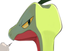 auteur-fic-massko-pokemon-pkm-donjon-mystere-grovyle-masskodeter-3g-starter-evolution-plante-hoenn