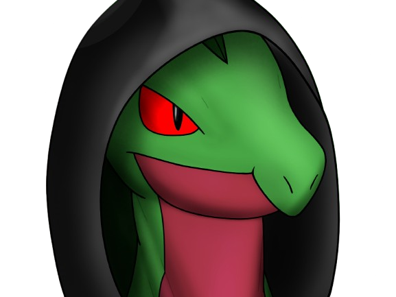 auteur fic massko pokemon pkm donjon mystere grovyle masskodeter 3g starter evolution plante hoenn