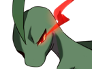 auteur-fic-massko-pokemon-pkm-donjon-mystere-grovyle-masskodeter-3g-starter-evolution-plante-hoenn