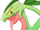 auteur-fic-massko-pokemon-pkm-donjon-mystere-grovyle-masskodeter-3g-starter-evolution-plante-hoenn