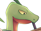 auteur-fic-massko-pokemon-pkm-donjon-mystere-grovyle-masskodeter-3g-starter-evolution-plante-hoenn