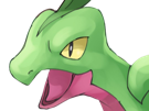 auteur-fic-massko-pokemon-pkm-donjon-mystere-grovyle-masskodeter-3g-starter-evolution-plante-hoenn