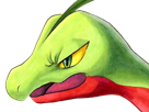 auteur-fic-massko-pokemon-pkm-donjon-mystere-grovyle-masskodeter-3g-starter-evolution-plante-hoenn