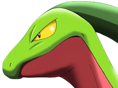 auteur fic massko pokemon pkm donjon mystere grovyle masskodeter 3g starter evolution plante hoenn