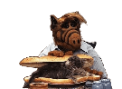 alf-chat-sandwich