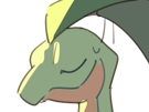 auteur-fic-massko-pokemon-pkm-donjon-mystere-grovyle-masskodeter-3g-starter-evolution-plante-hoenn